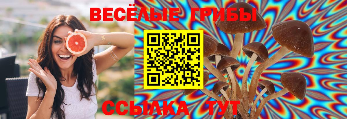 Галлюциногенные грибы Cubensis  Галлюциногенные грибы Cubensis  Вход с VPN  Первоуральск 
